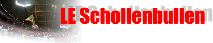 LE Schollenbullen Offizieller Fanklub             von RB Leipzig